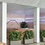 Wellness Orlík