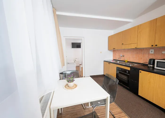 Wellness Orlik Hotel *